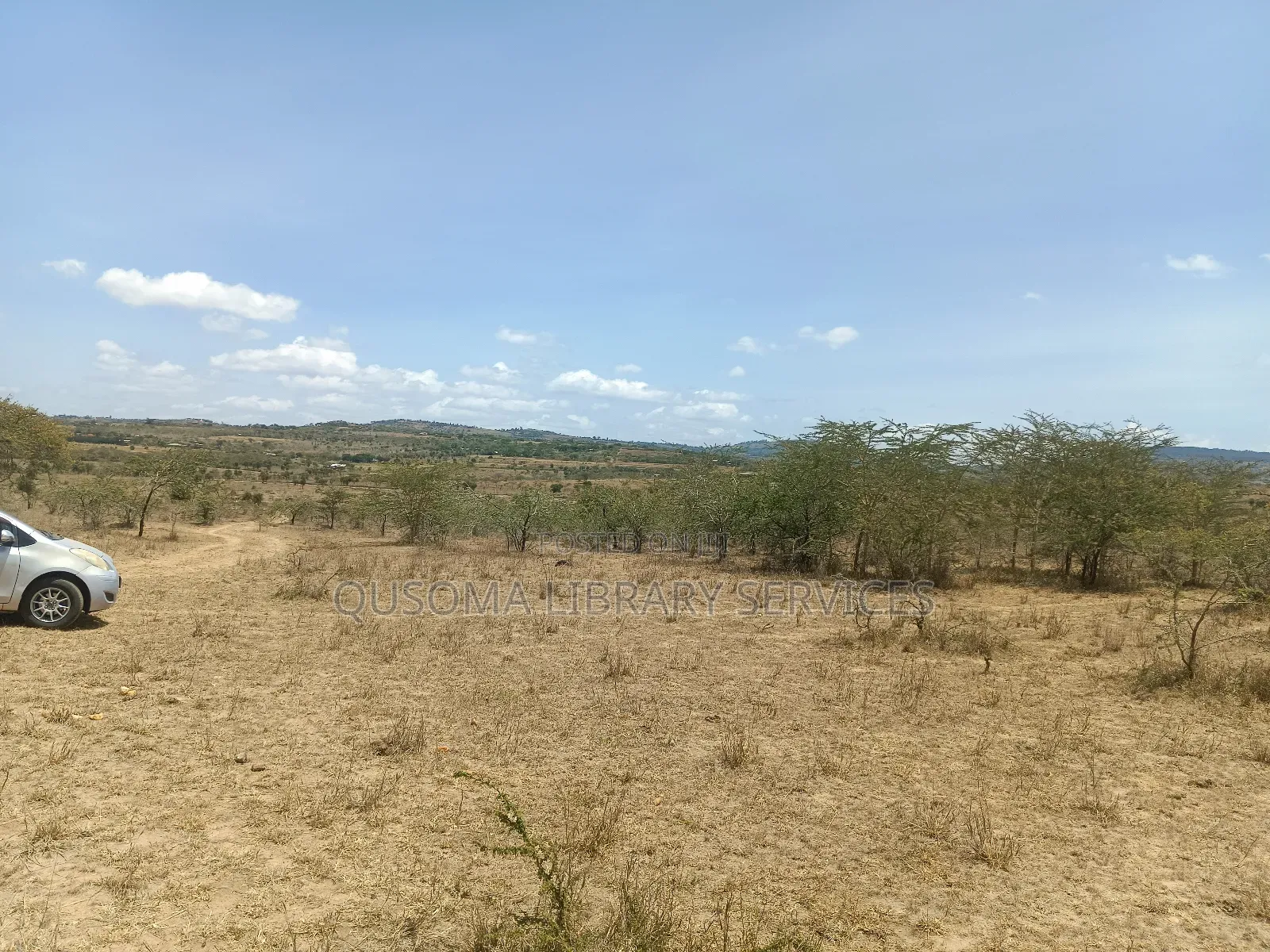 The Silicon Savannah Is Rising—Don’T Just Watch, Own It! in Malili