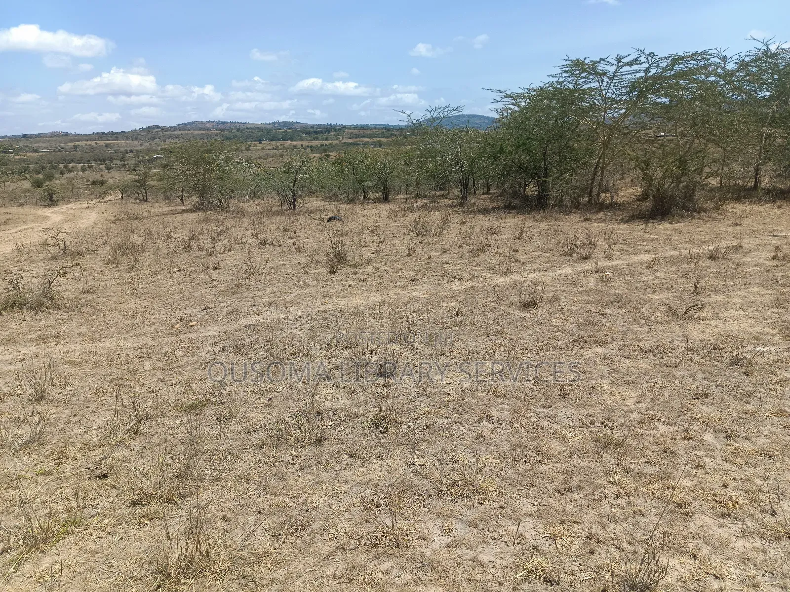 The Silicon Savannah Is Rising—Don’T Just Watch, Own It! in Malili