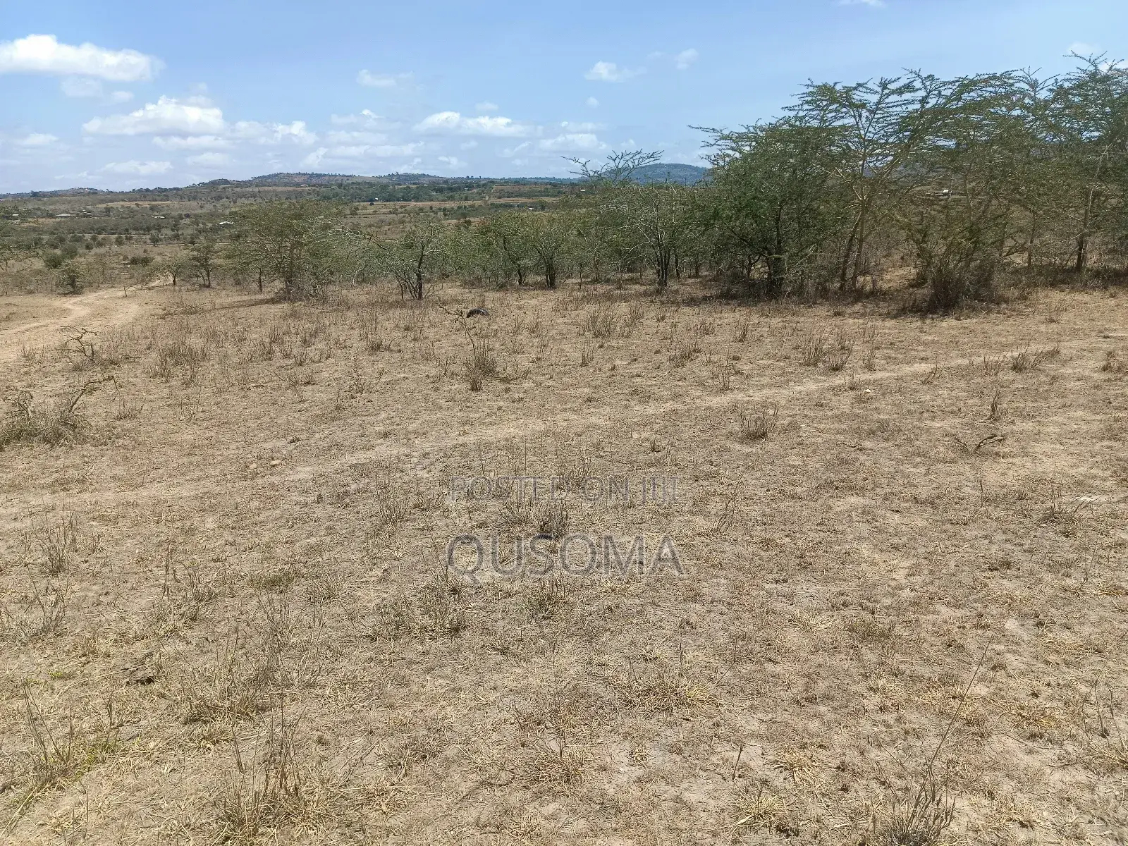 The Silicon Savannah Is Rising—Don’T Just Watch, Own It! in Malili