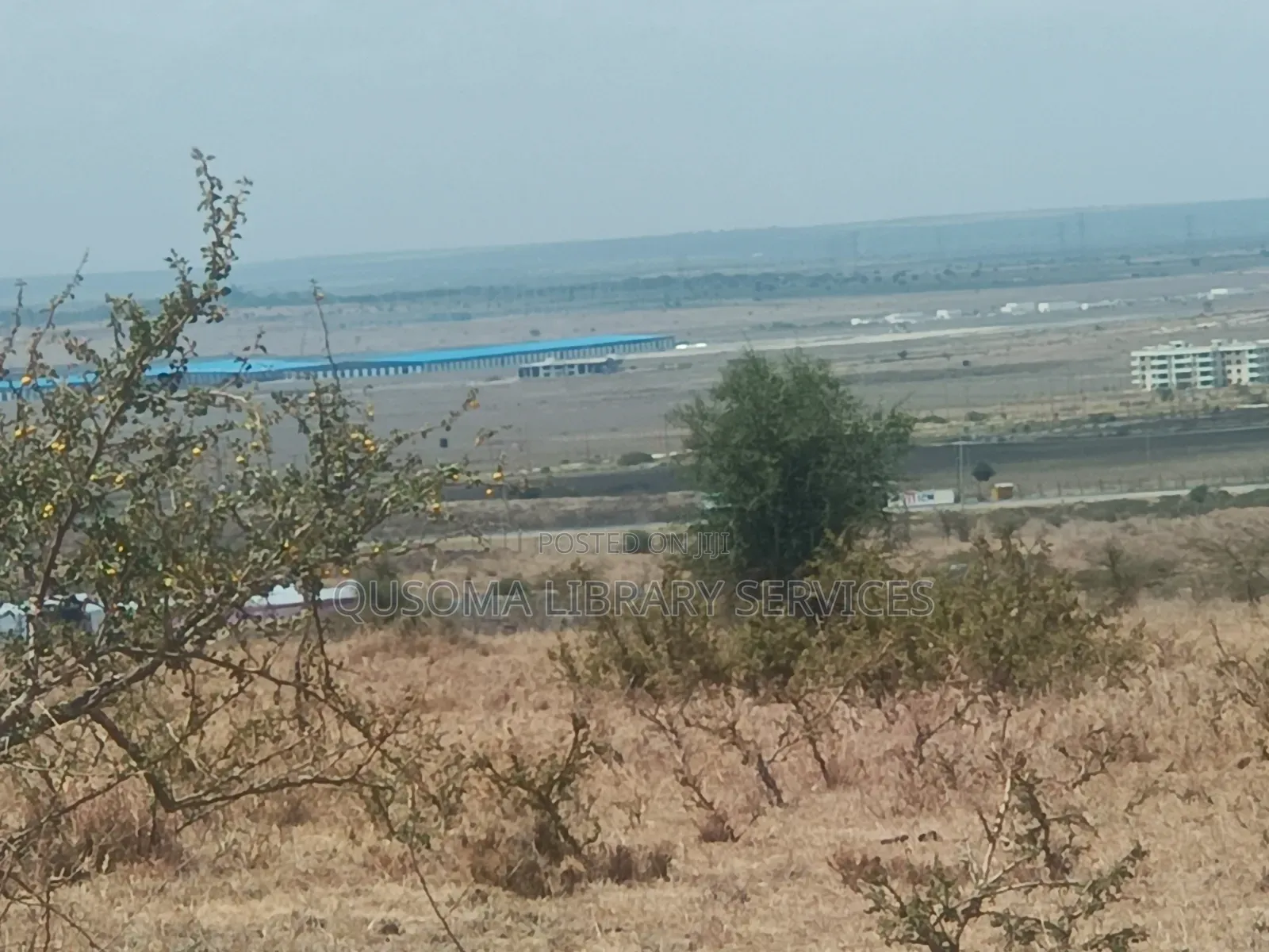 The Silicon Savannah Is Rising—Don’T Just Watch, Own It! in Malili