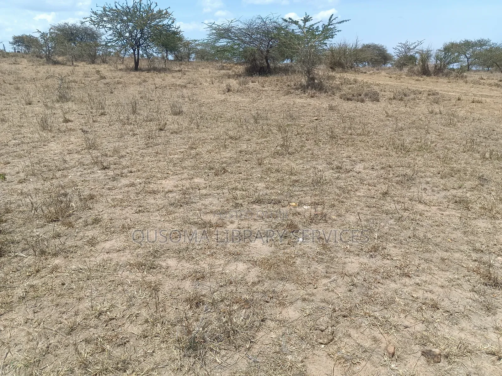 The Silicon Savannah Is Rising—Don’T Just Watch, Own It! in Malili