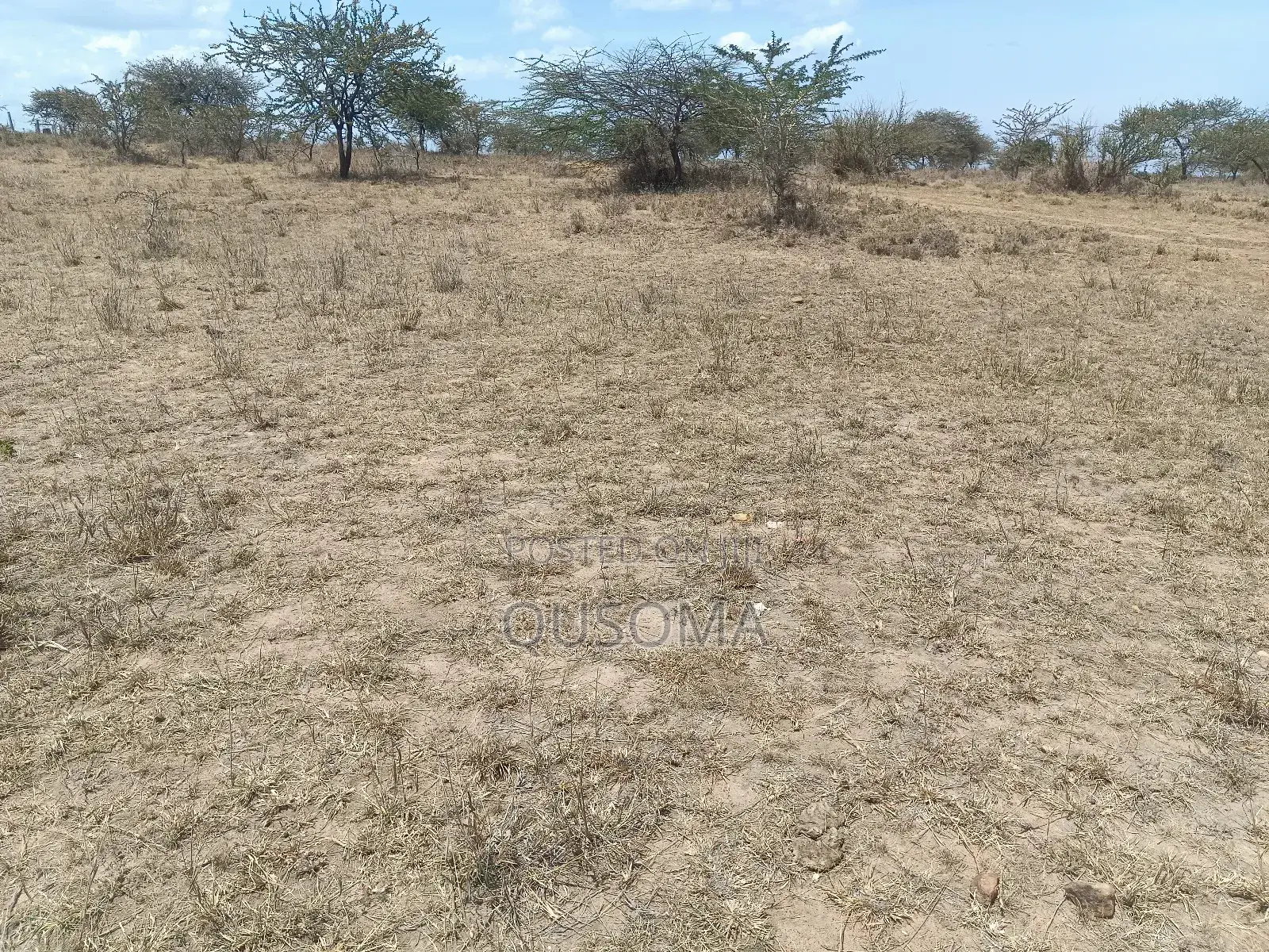 The Silicon Savannah Is Rising—Don’T Just Watch, Own It! in Malili