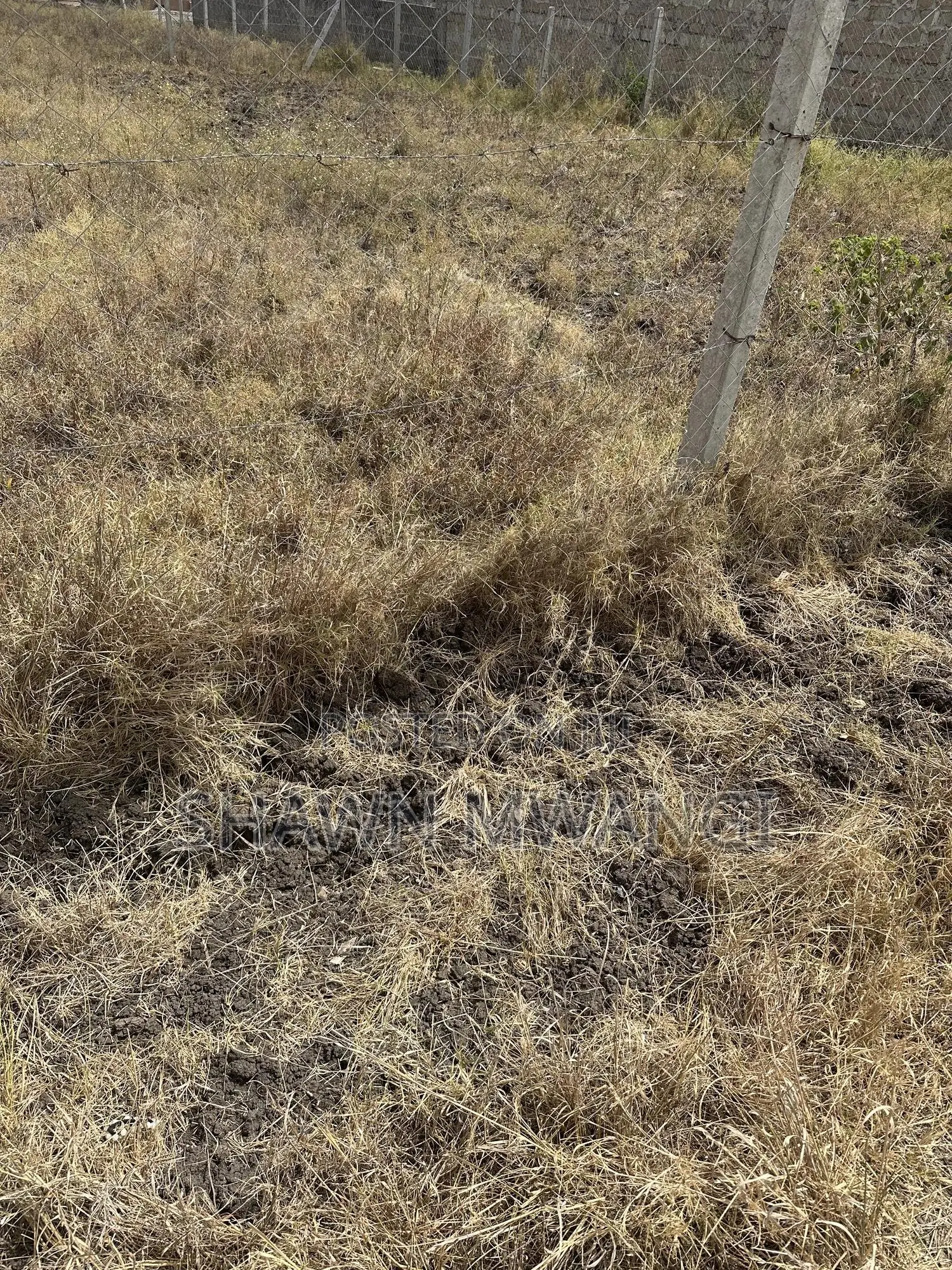 Two Plots For Sale Adjacent To Each Other Mwalimu Farm Phase 3 in Ruiru