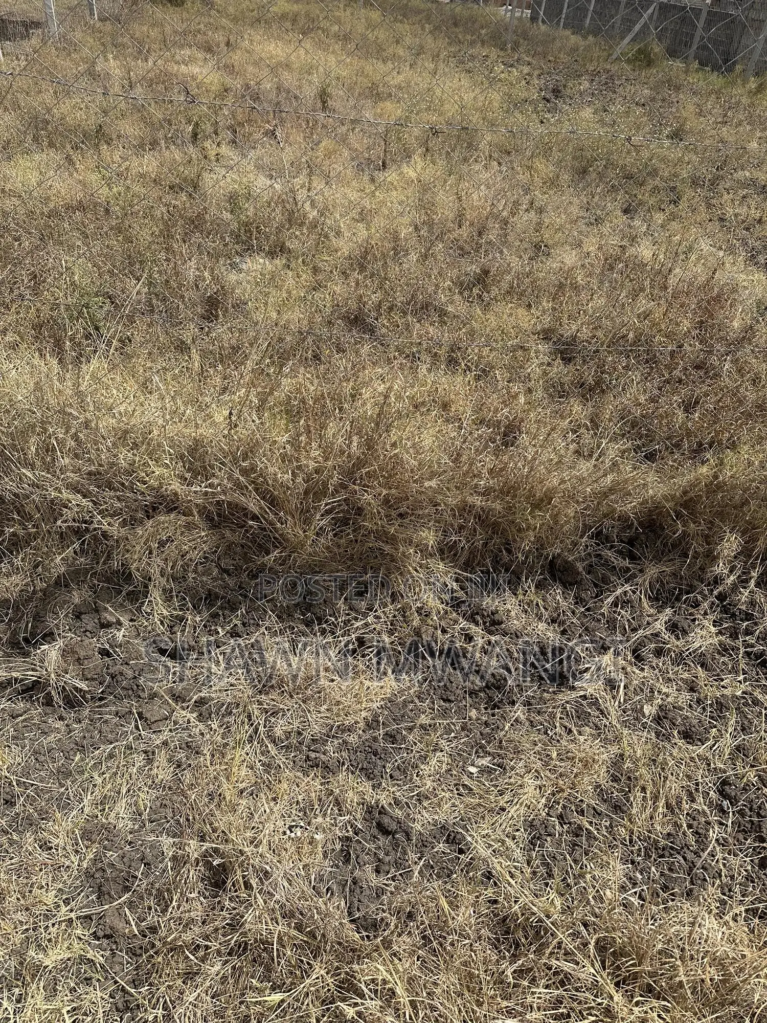 Two Plots For Sale Adjacent To Each Other Mwalimu Farm Phase 3 in Ruiru