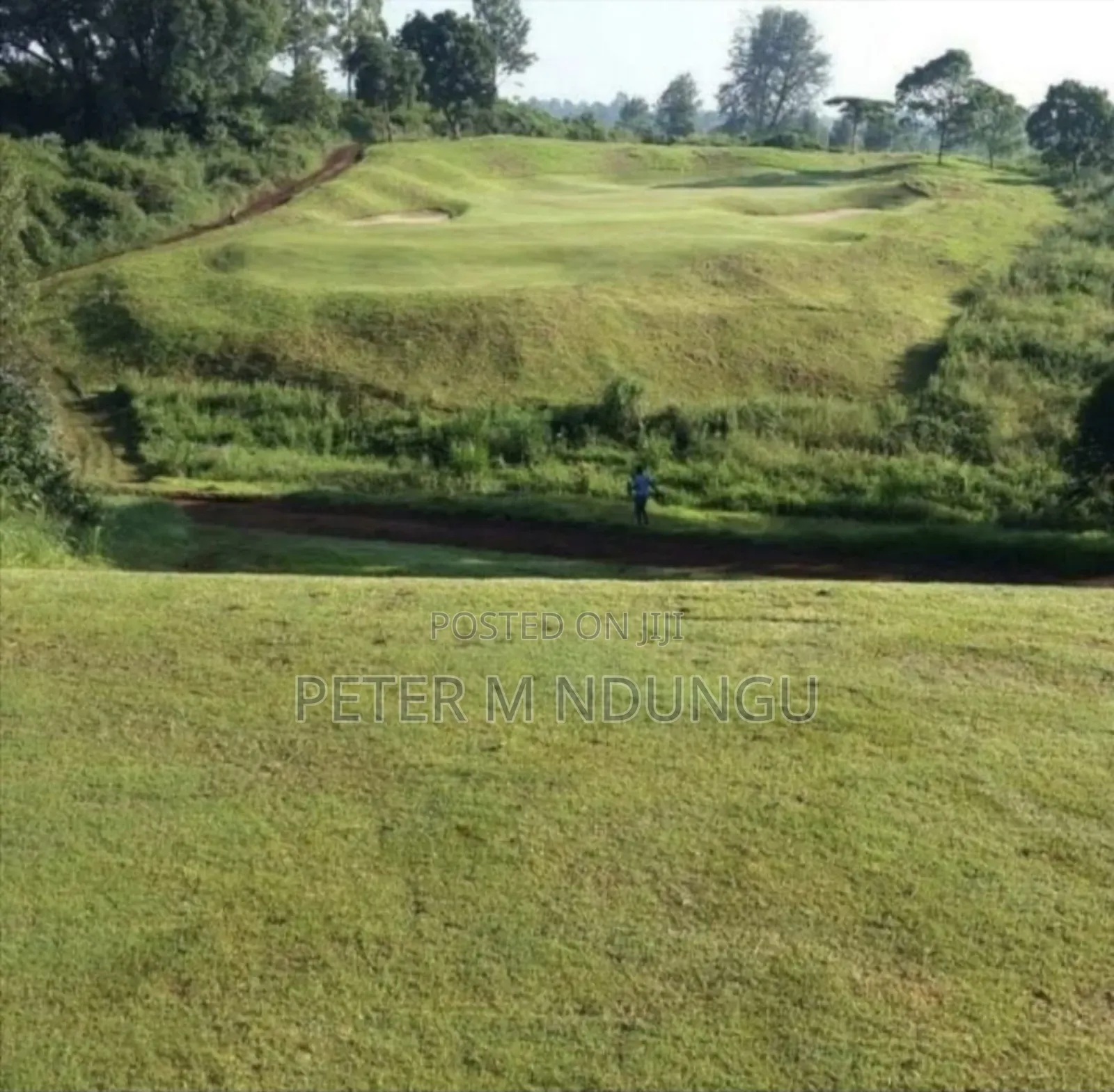 Residential Prime Plots on Sale, Migaa Golf Estate in Kiambu / Kiambu 