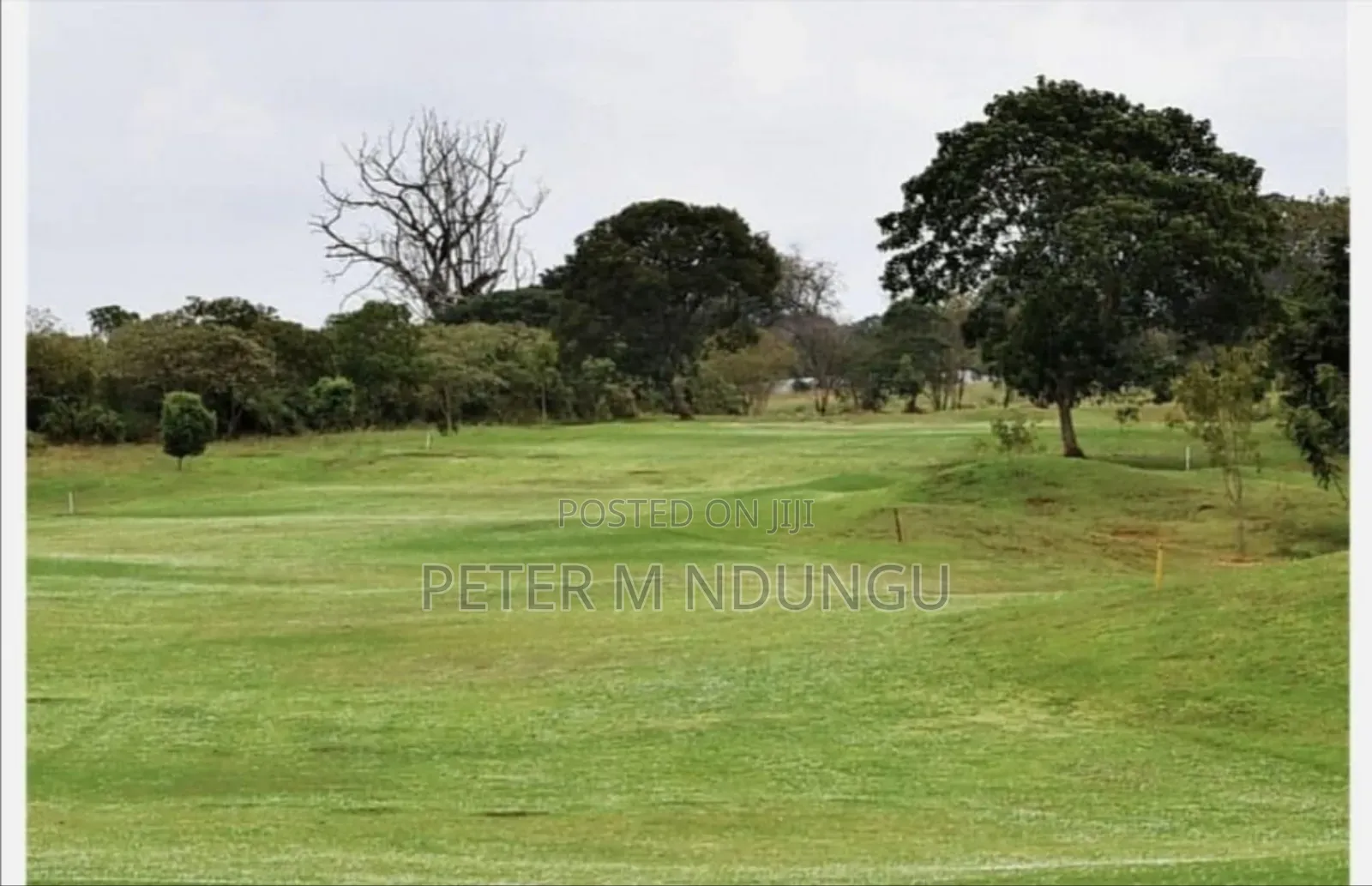 Residential Prime Plots on Sale, Migaa Golf Estate in Kiambu / Kiambu 