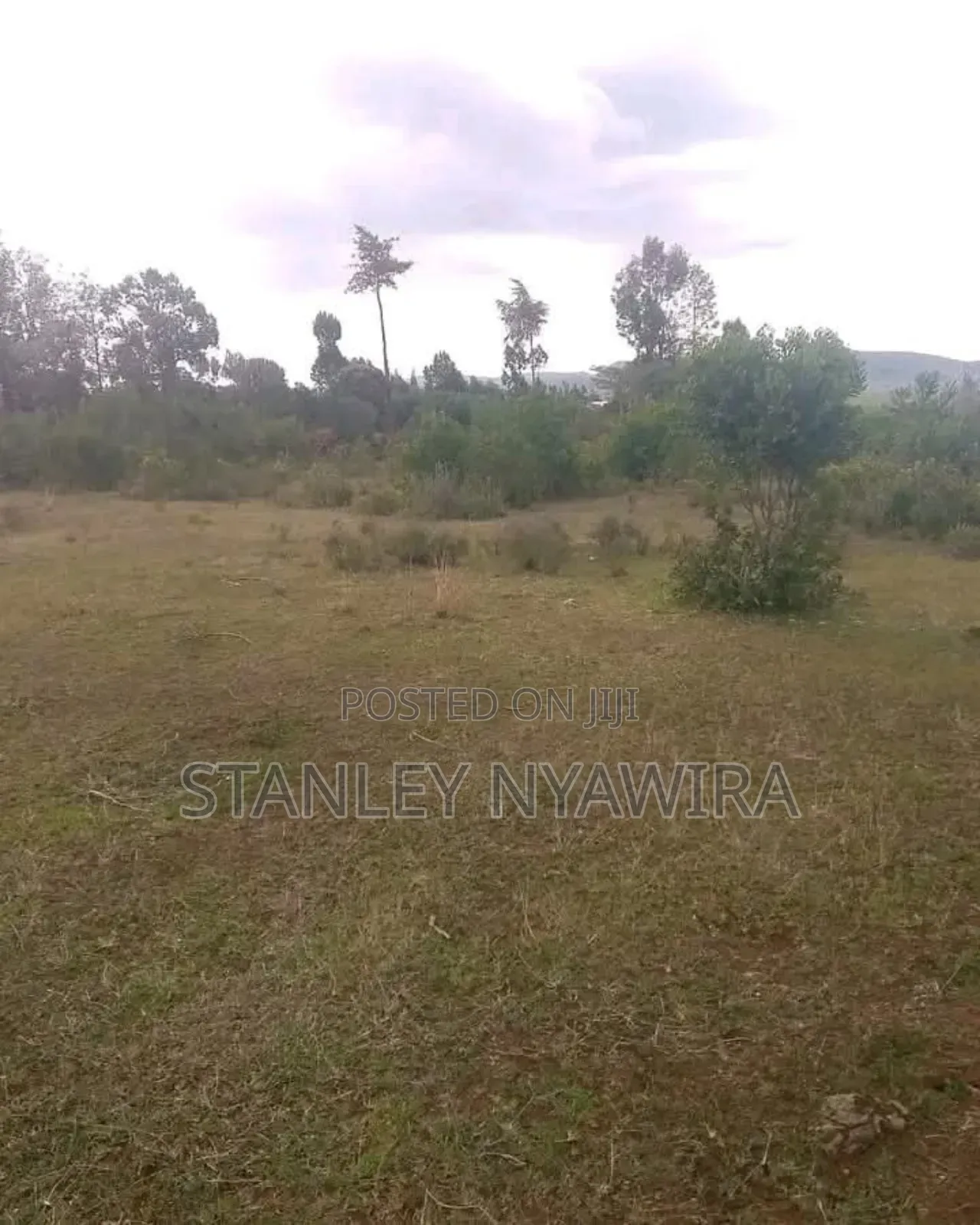 10 Acreas Fronting River Nanyuki On Sale in Laikipia East