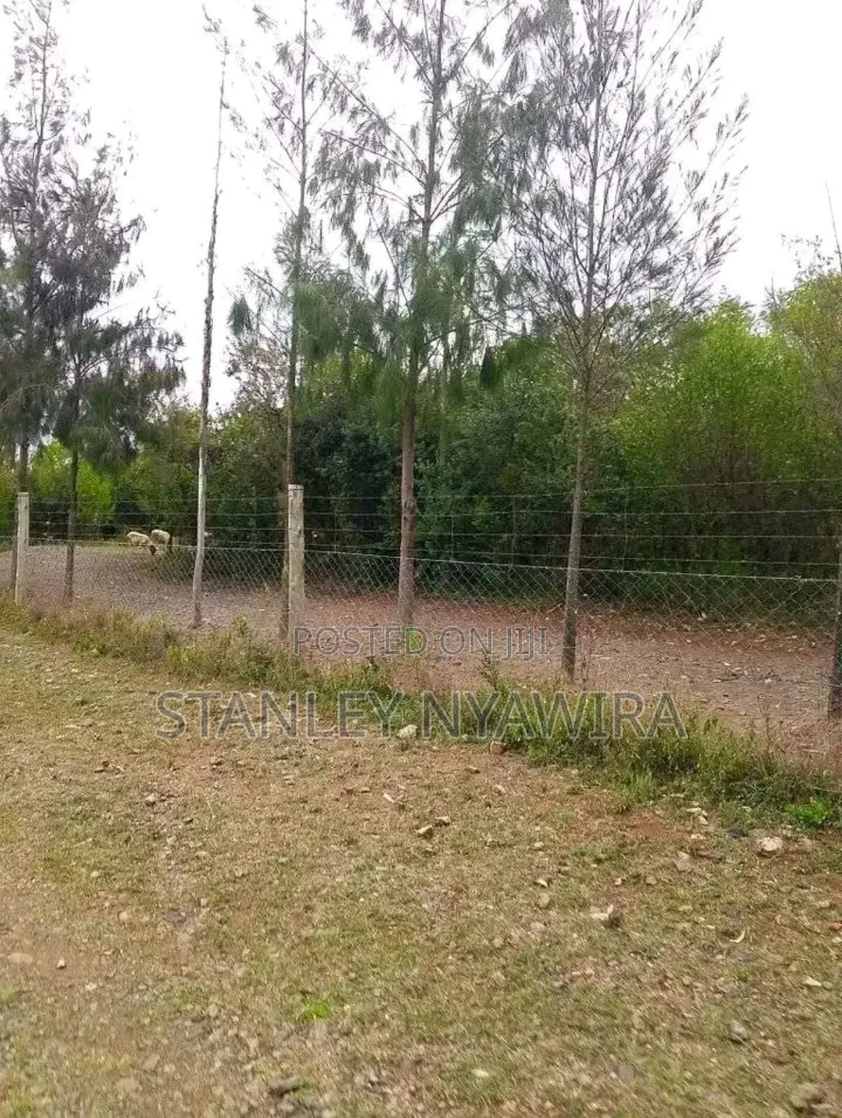 10 Acreas Fronting River Nanyuki On Sale in Laikipia East