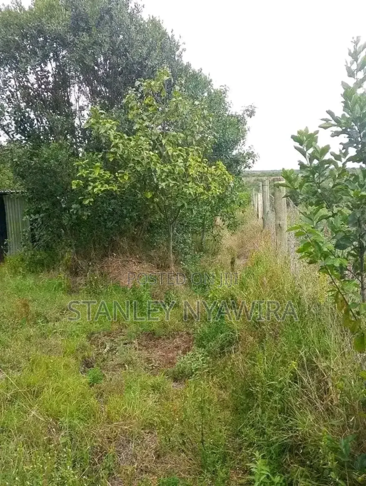 10 Acreas Fronting River Nanyuki On Sale in Laikipia East