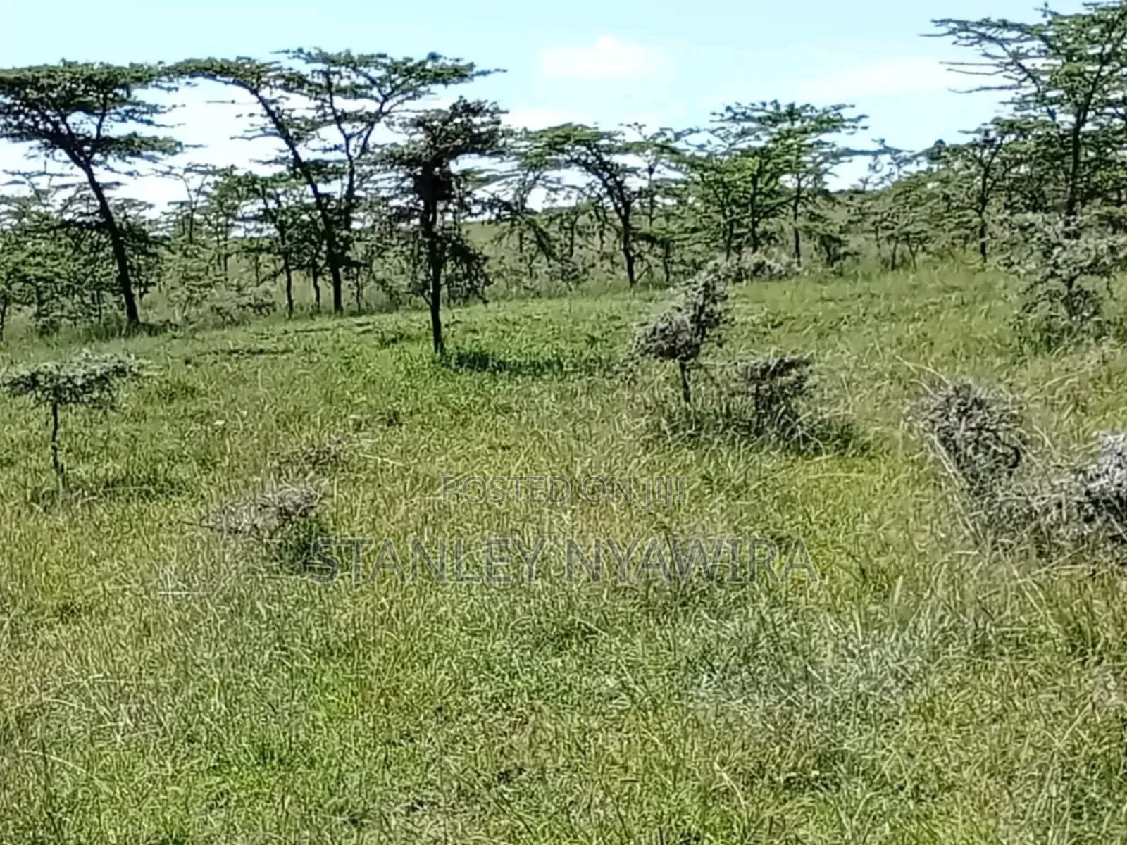 5 Acreas Uruku Nyeri Nyahururu Highway in Nanyuki