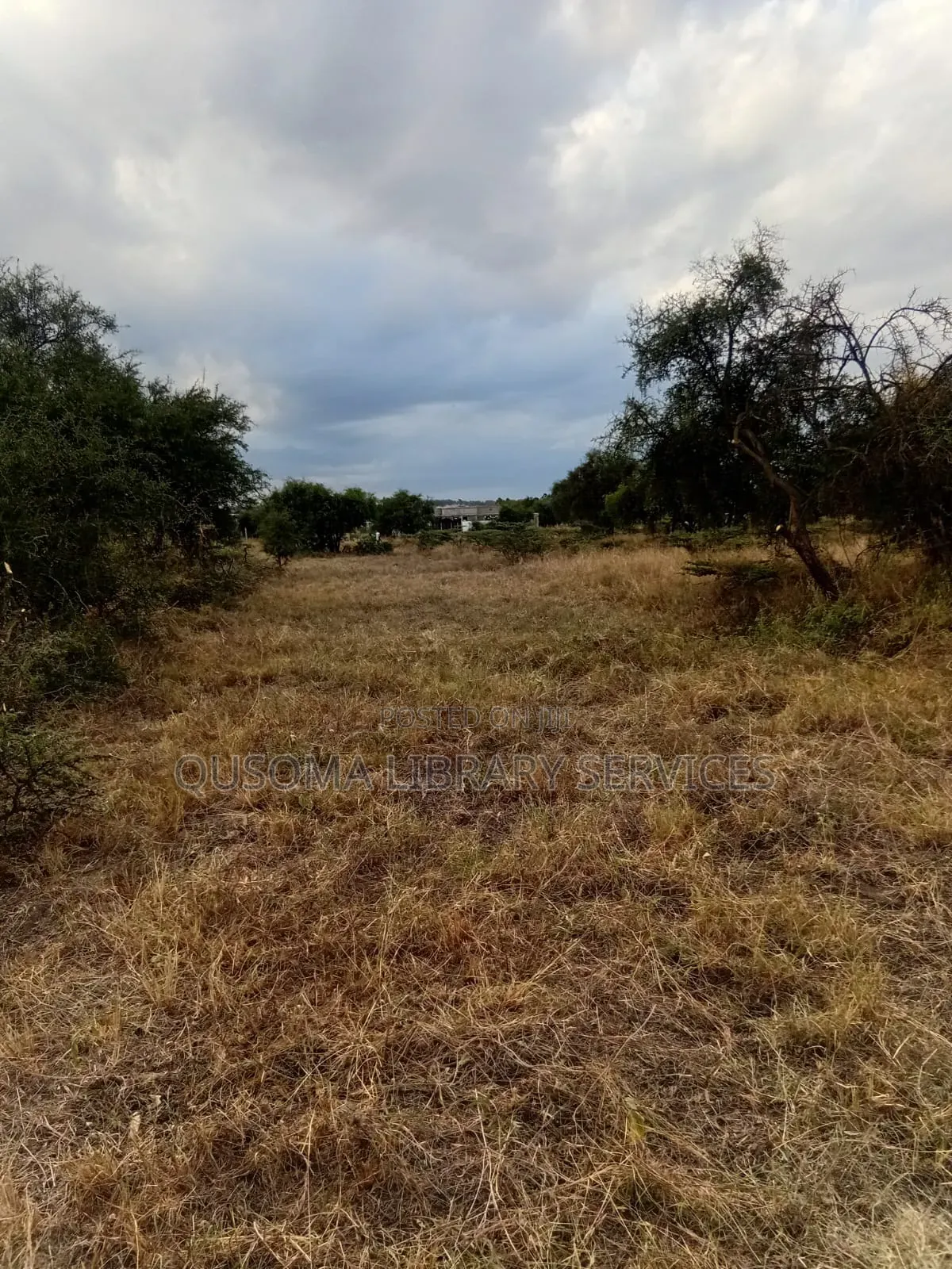 Affordable 1/8 Acre Serenity Plot, Stage 3 Olooloitikoshi, Kitengela in Kitengela