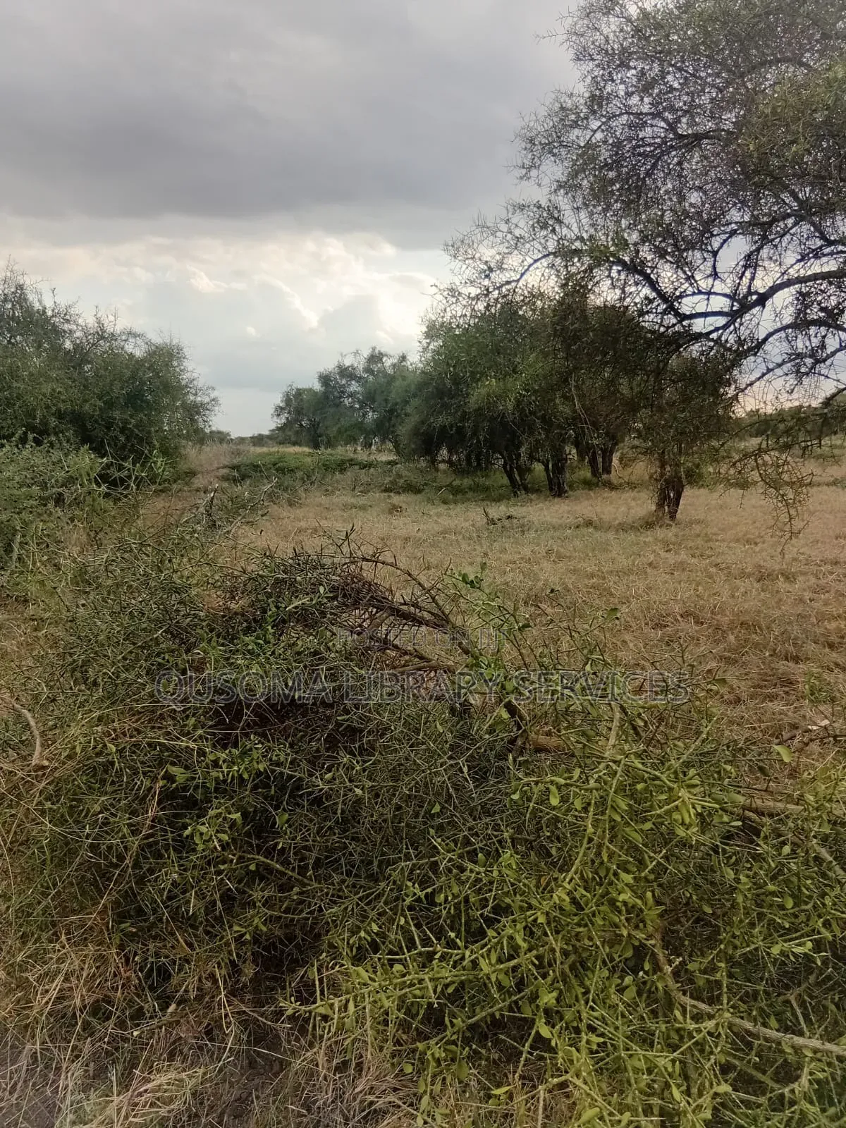 Affordable 1/8 Acre Serenity Plot, Stage 3 Olooloitikoshi, Kitengela in Kitengela