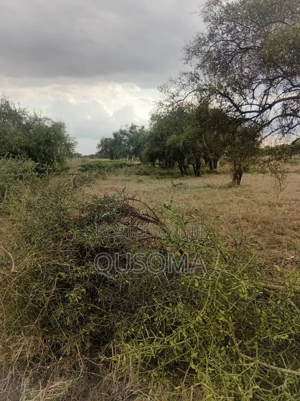 Affordable 1/8 Acre Serenity Plot, Stage 3 Olooloitikoshi, Kitengela in Kitengela