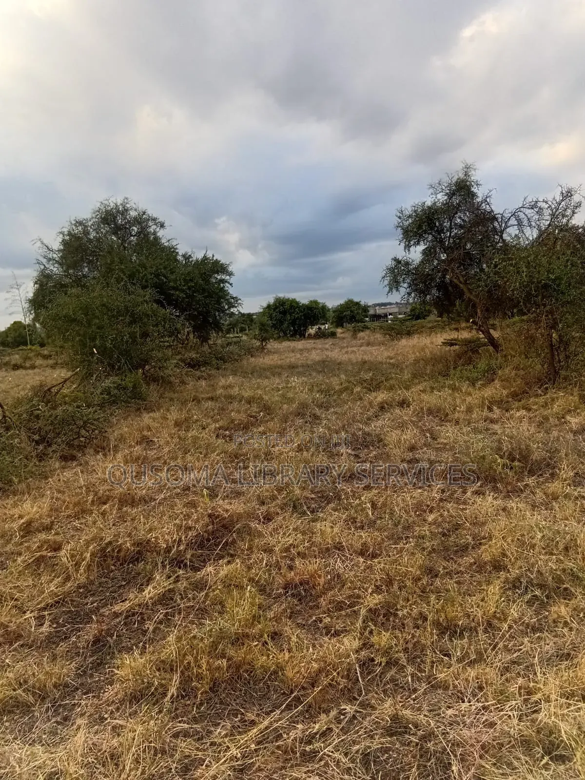 Affordable 1/8 Acre Serenity Plot, Stage 3 Olooloitikoshi, Kitengela in Kitengela