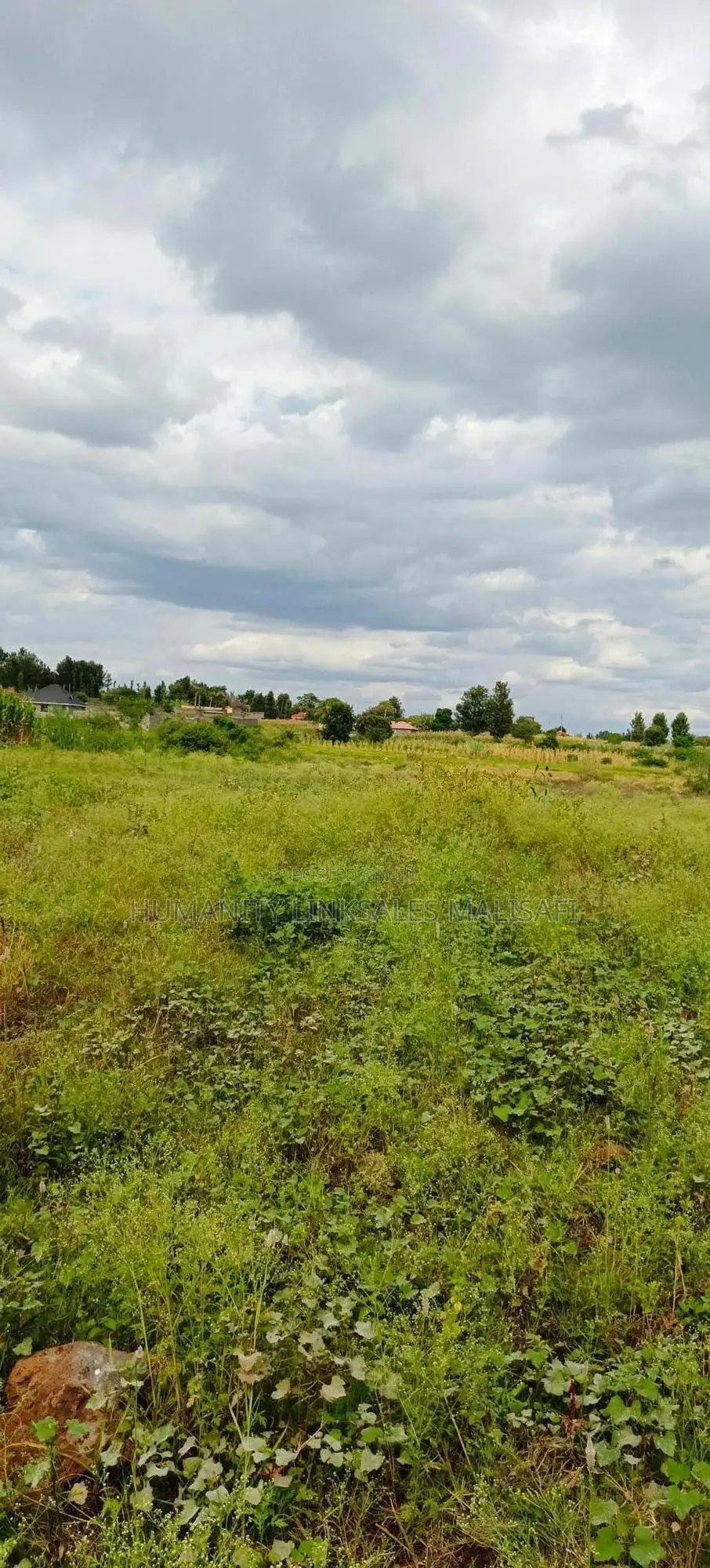 Multipurpose 5 Acres Land, Behind Wanguru Stadium, 300m From Tarmac in Mwea