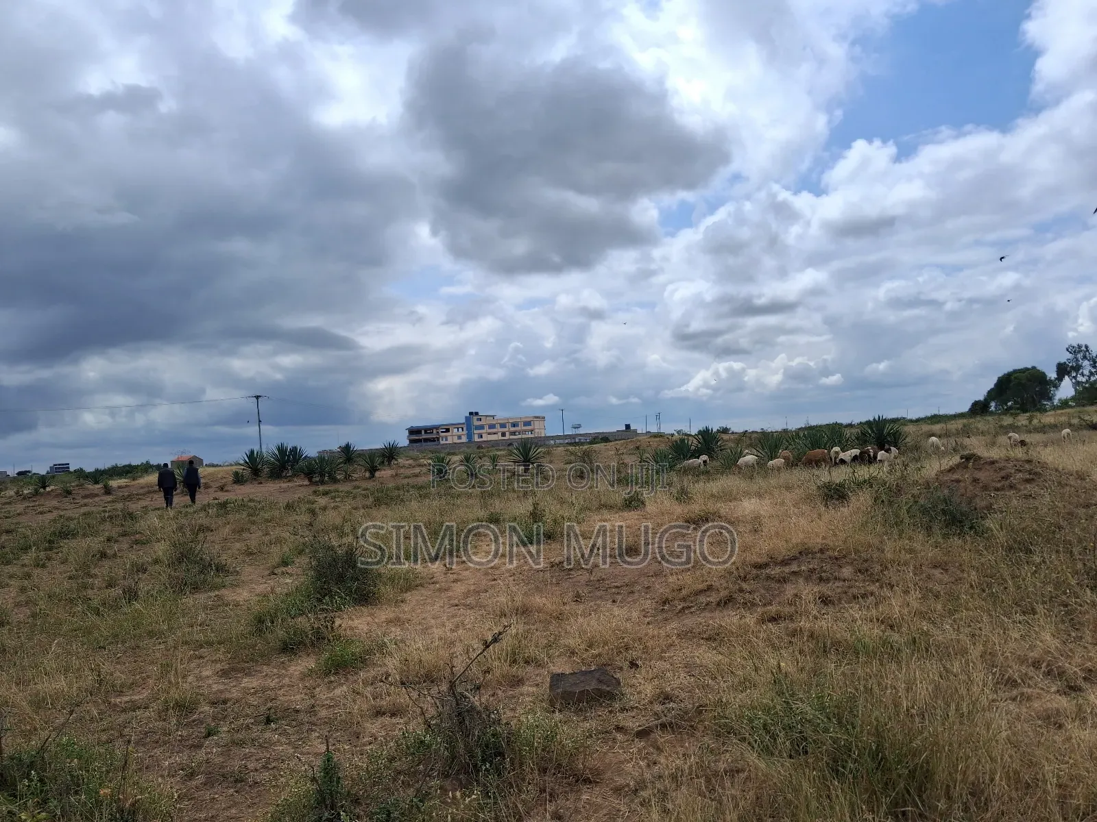 Juja Township Prime 1.8ac Ideal for Hotel Behind Rubis Petrol Station in Kalimoni