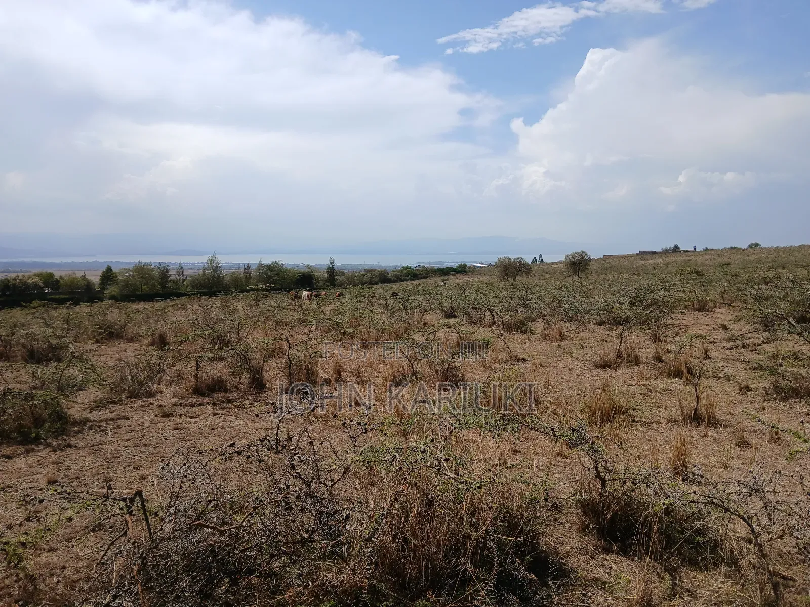 2 Acres of Land in Naivasha Mirera Near Oasis Academy With View in Naivasha East