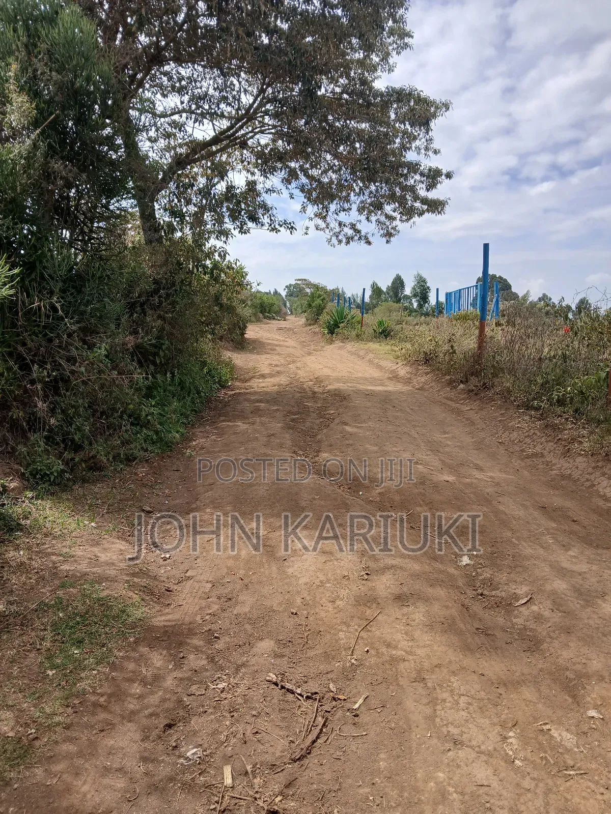 50x100 Plots in Naivasha Nyamathi 900 Metres From the Tarmac Road in Naivasha East