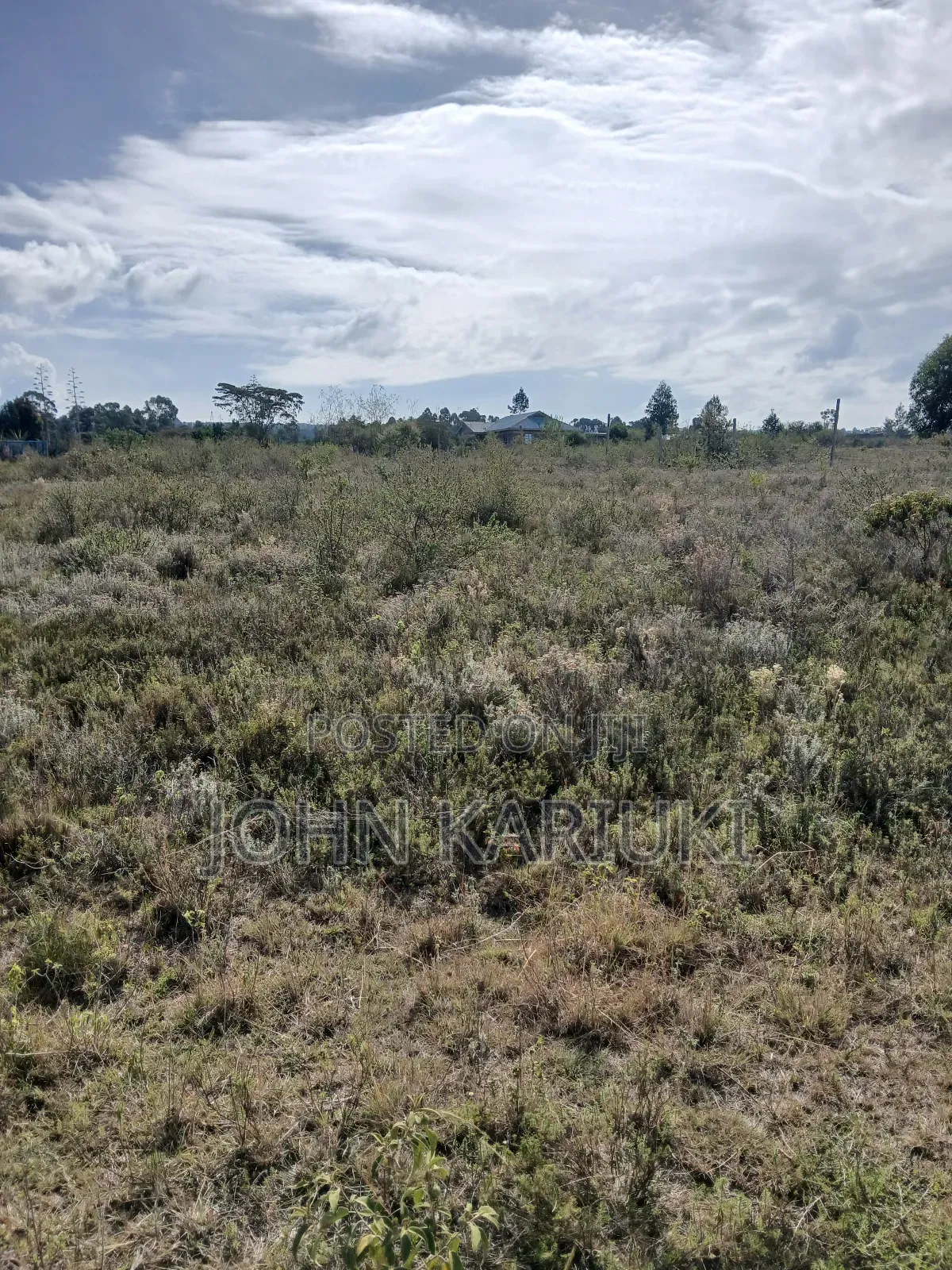 50x100 Plots in Naivasha Nyamathi 900 Metres From the Tarmac Road in Naivasha East