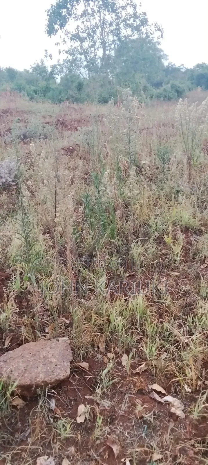 14 Acres of Land in Embu Donbosco Area Good for Farming and Retirement in Central Ward