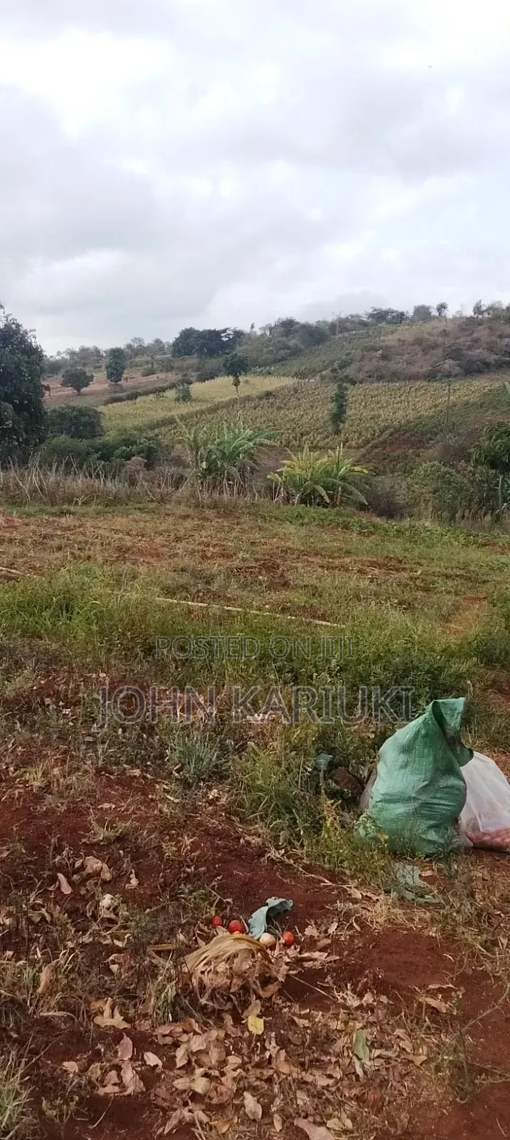 14 Acres of Land in Embu Donbosco Area Good for Farming and Retirement in Central Ward