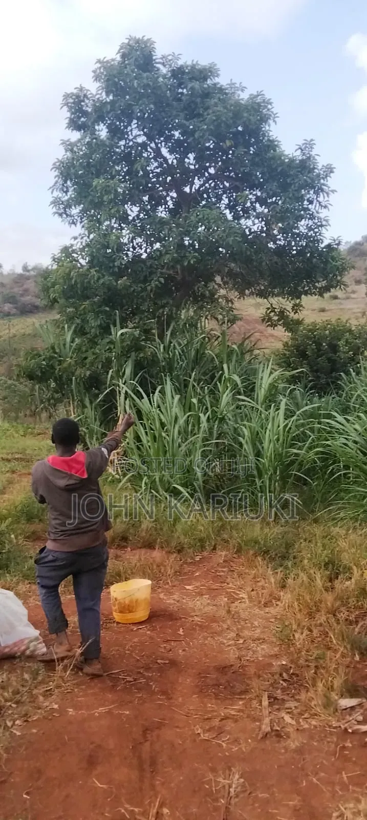14 Acres of Land in Embu Donbosco Area Good for Farming and Retirement in Central Ward