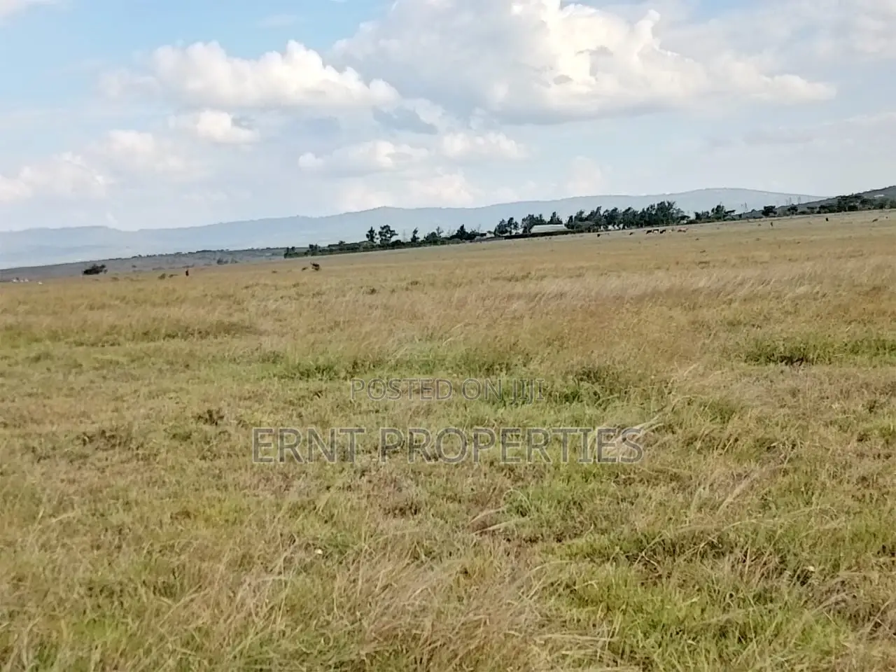 Subdivision Goldmine: 3 Acres in Kinanie Kwambo | Near Leather Park! in Kinanie