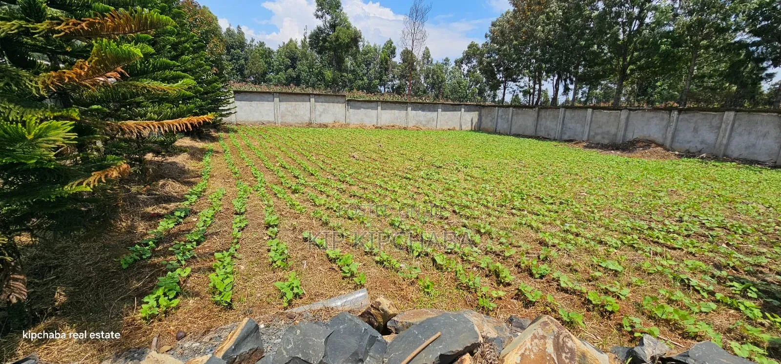 Commercial C1⁄4 Plot With Perimetre Wall for Sale Annex in Elgon View