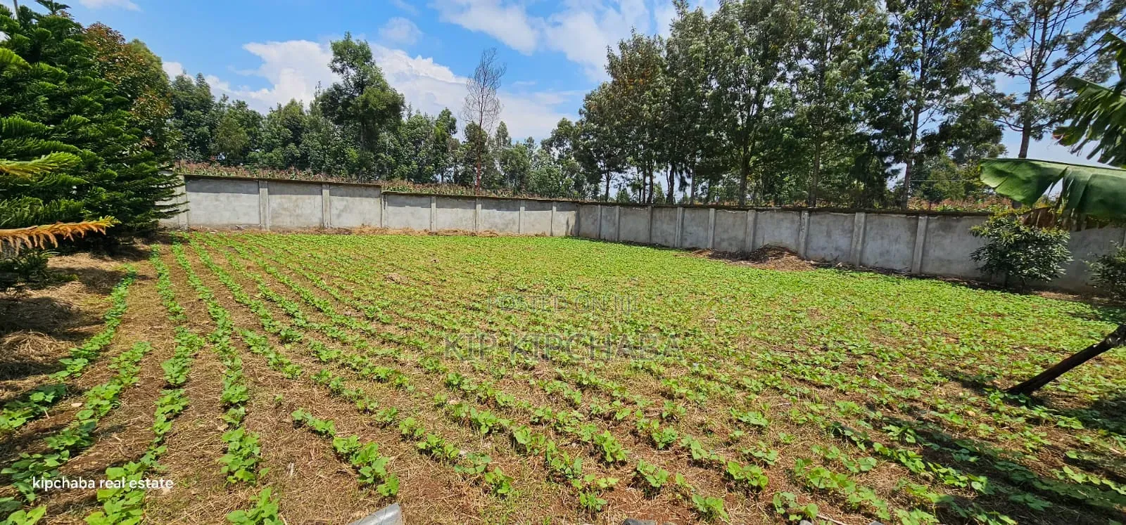 Commercial C1⁄4 Plot With Perimetre Wall for Sale Annex in Elgon View