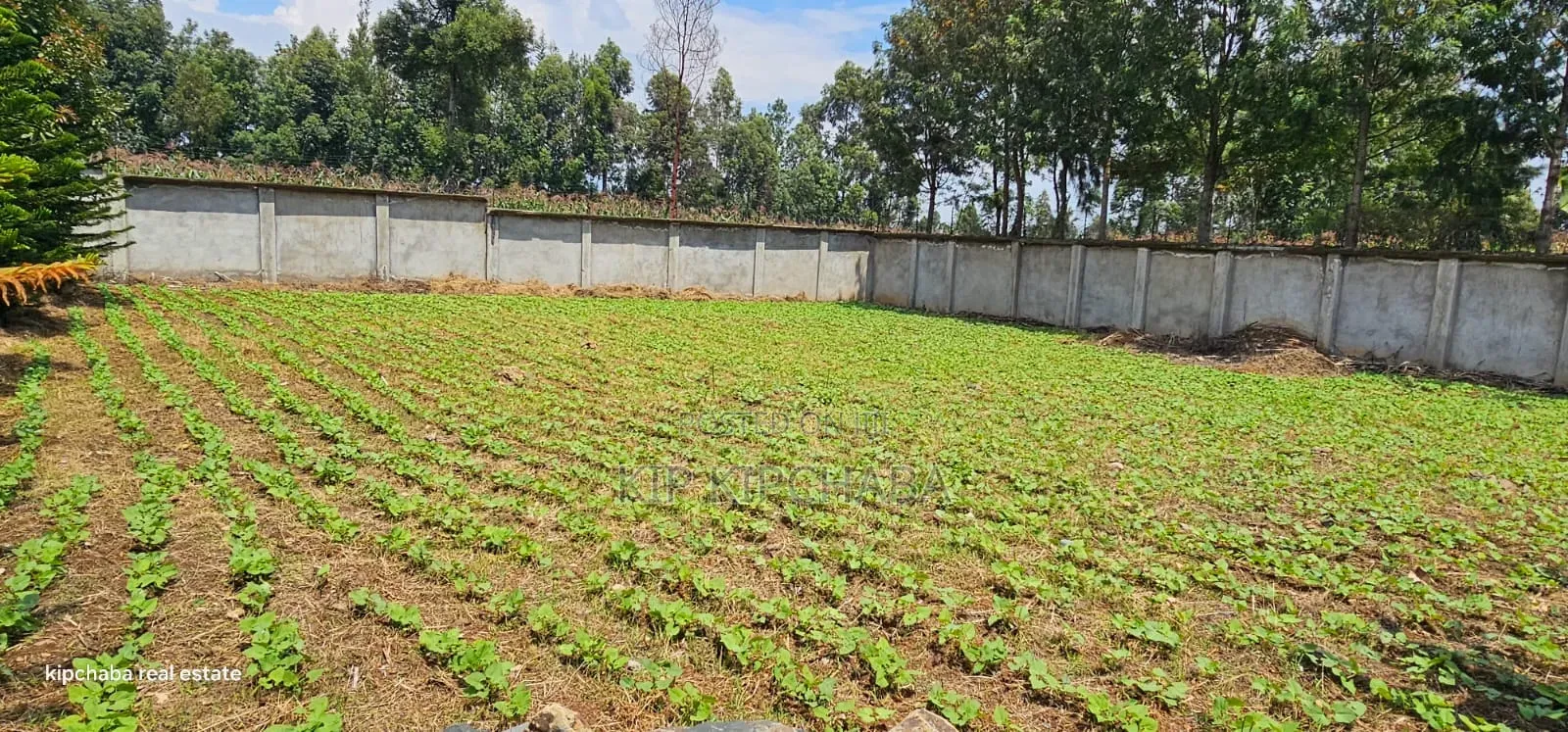 Commercial C1⁄4 Plot With Perimetre Wall for Sale Annex in Elgon View