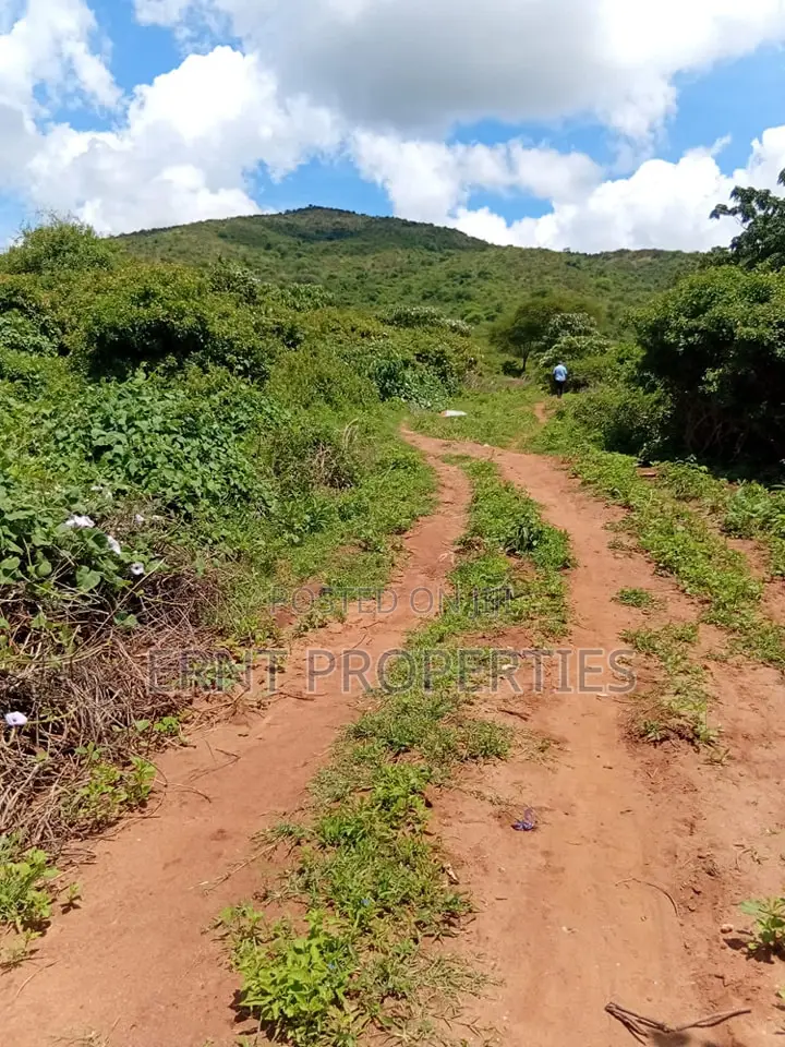Prime 7 Acres of Fertile Land in Sultan Hamud -Ready for Farming! in Mombasa Road