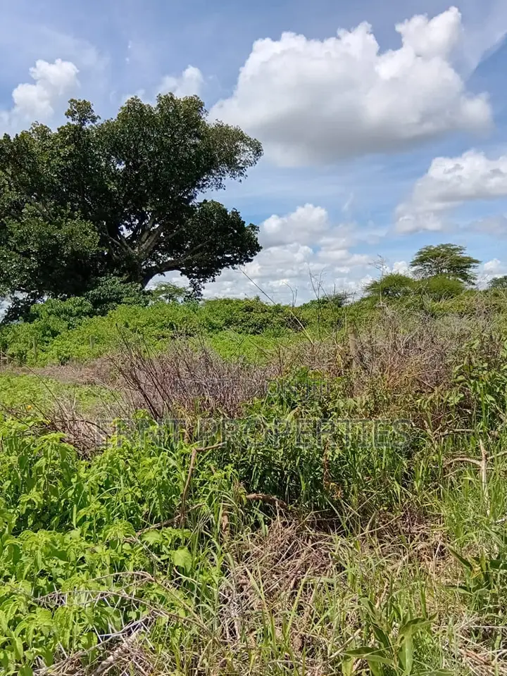 Prime 7 Acres of Fertile Land in Sultan Hamud -Ready for Farming! in Mombasa Road