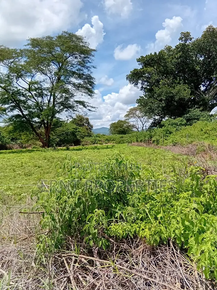 Prime 7 Acres of Fertile Land in Sultan Hamud -Ready for Farming! in Mombasa Road