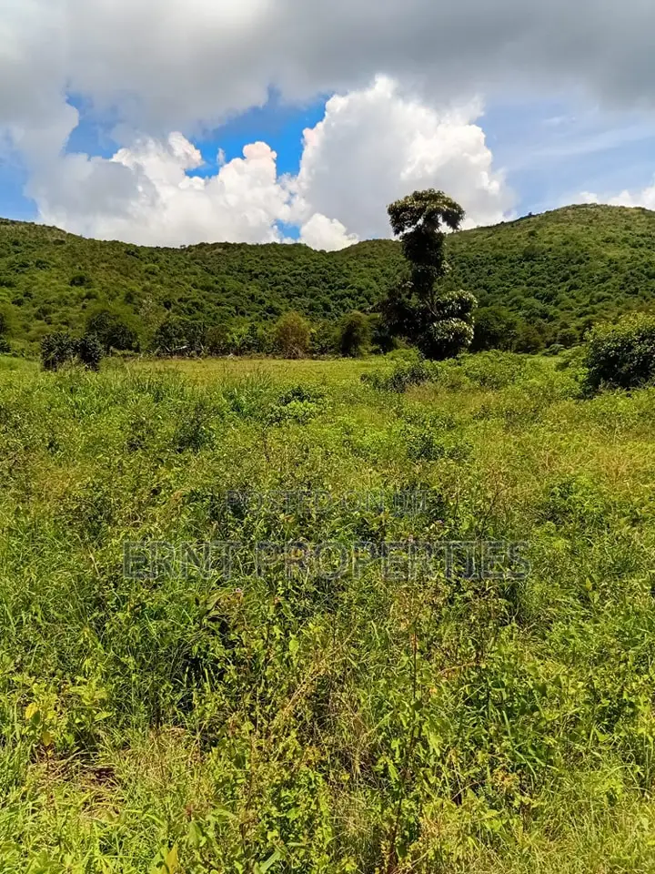 Prime 7 Acres of Fertile Land in Sultan Hamud -Ready for Farming! in Mombasa Road