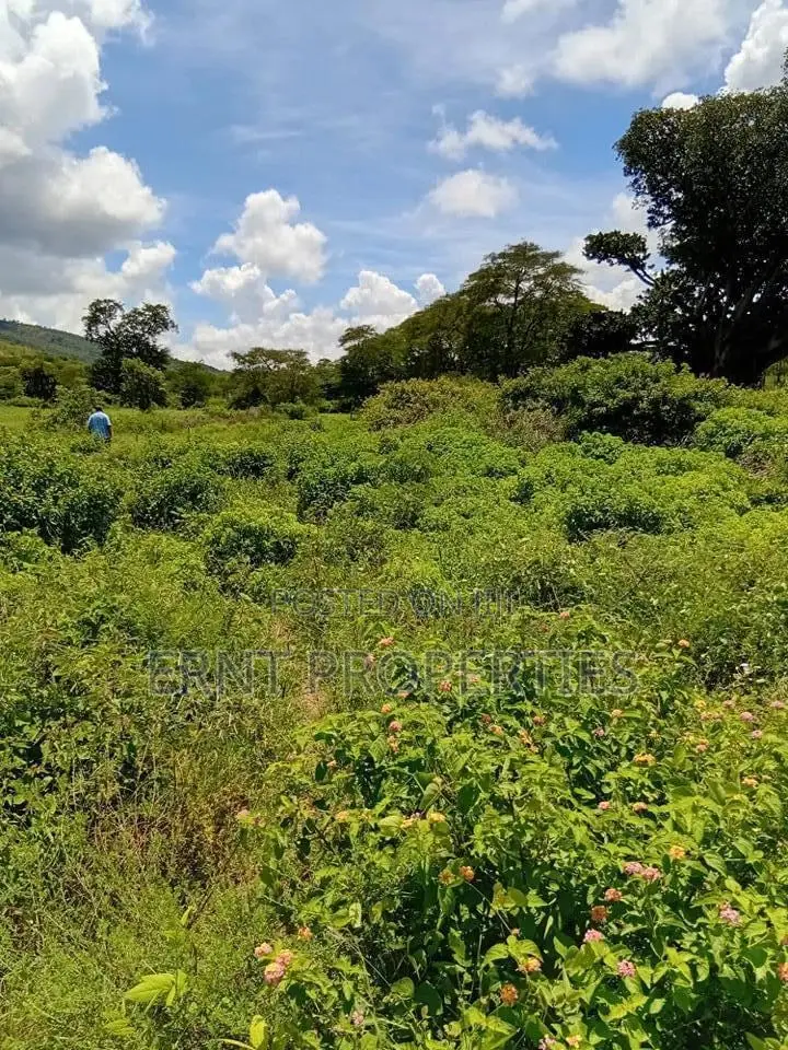 Prime 7 Acres of Fertile Land in Sultan Hamud -Ready for Farming! in Mombasa Road