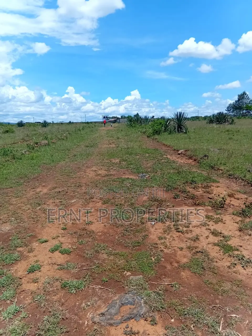 Scenic Katani Plots Overlooking Ngelani Valley in Katani