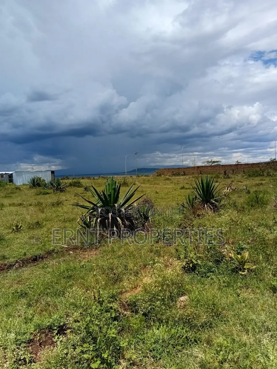 Scenic Katani Plots Overlooking Ngelani Valley in Katani