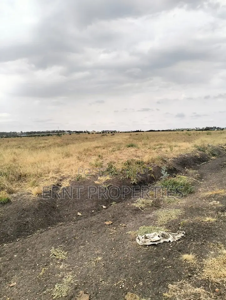 Prime Kitengela Acacia Block Plots – Ideal Investment Deal! in Kitengela