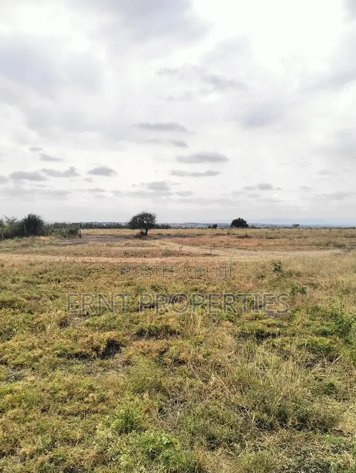 Prime Kitengela Acacia Block Plots – Ideal Investment Deal! in Kitengela