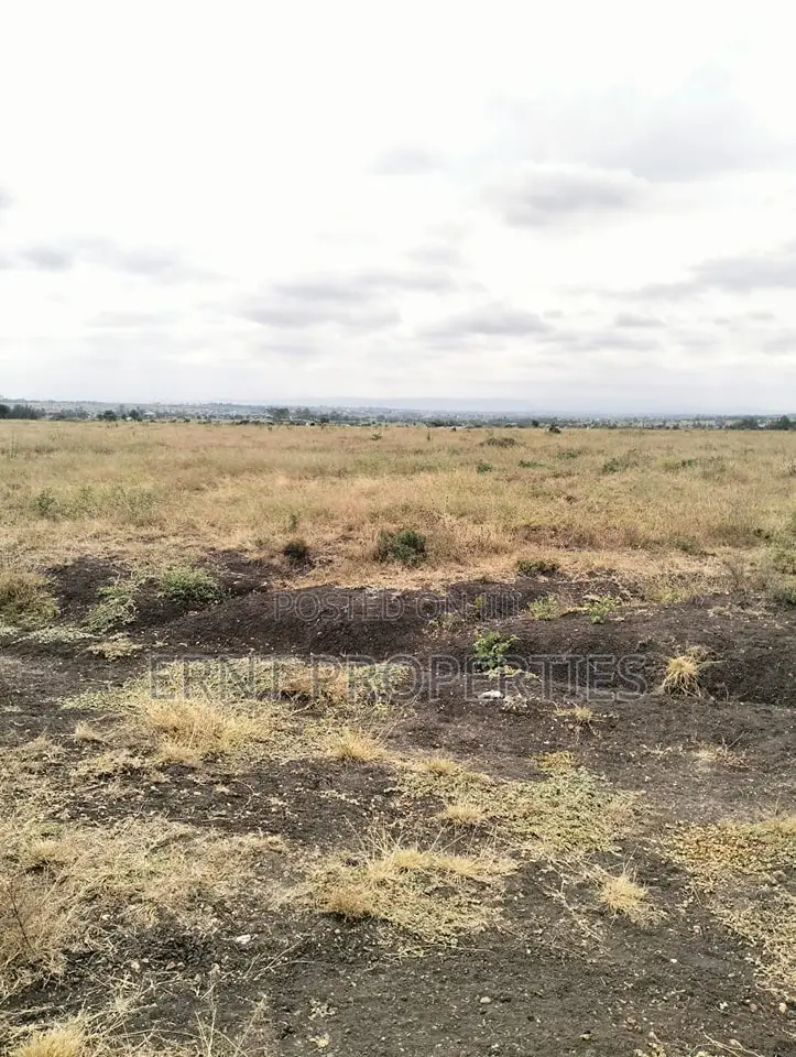 Prime Kitengela Acacia Block Plots – Ideal Investment Deal! in Kitengela