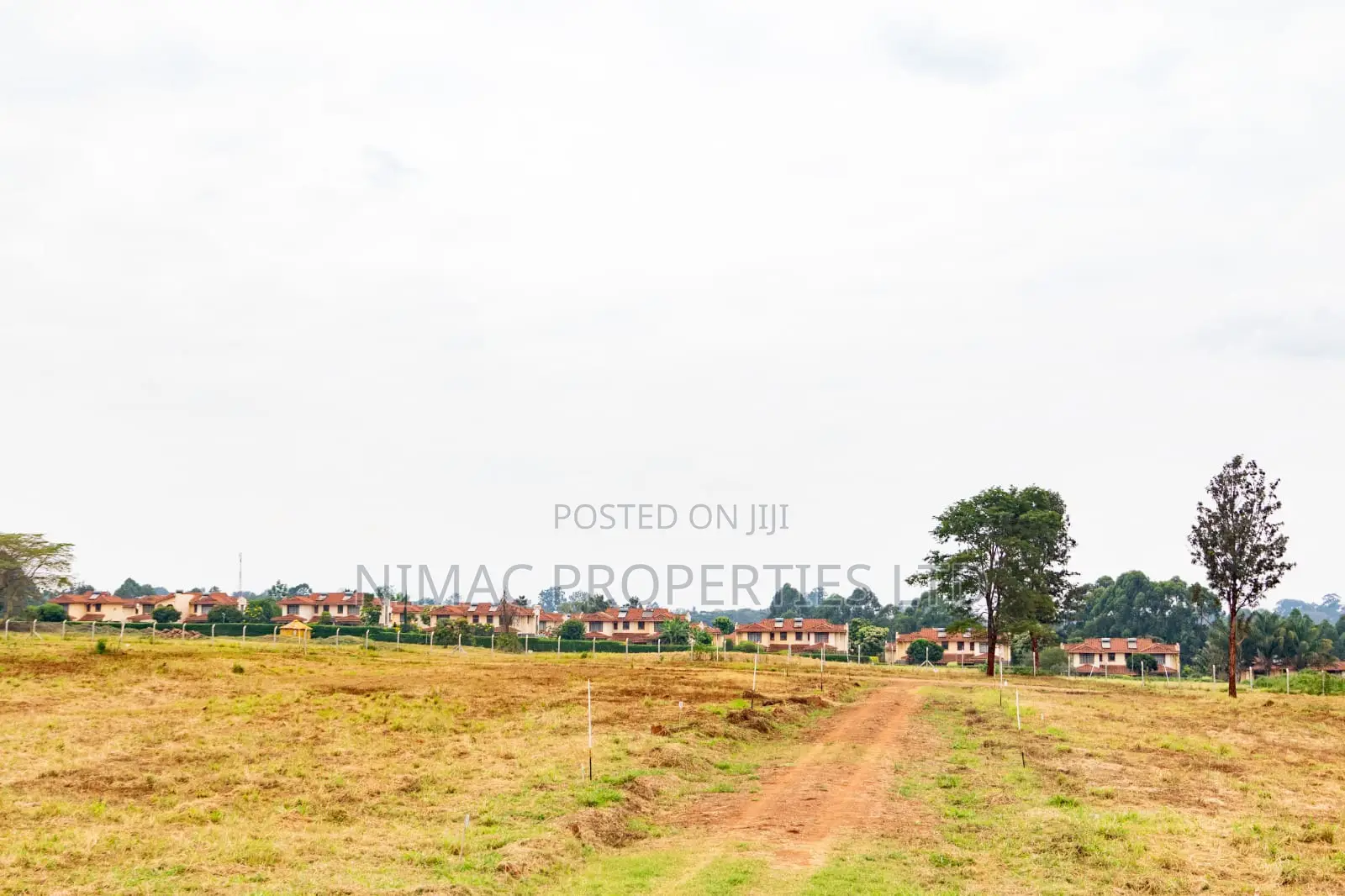 Prime 1/4 Acre Plots for Sale in Thika – Gated Community Living! in Ngoingwa Estate