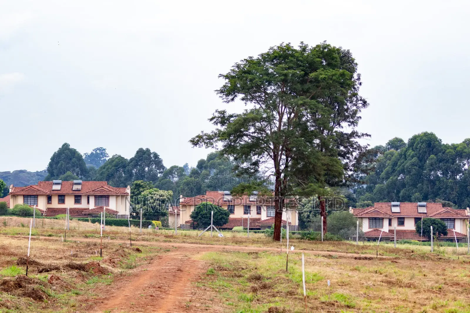 Prime 1/4 Acre Plots for Sale in Thika – Gated Community Living! in Ngoingwa Estate