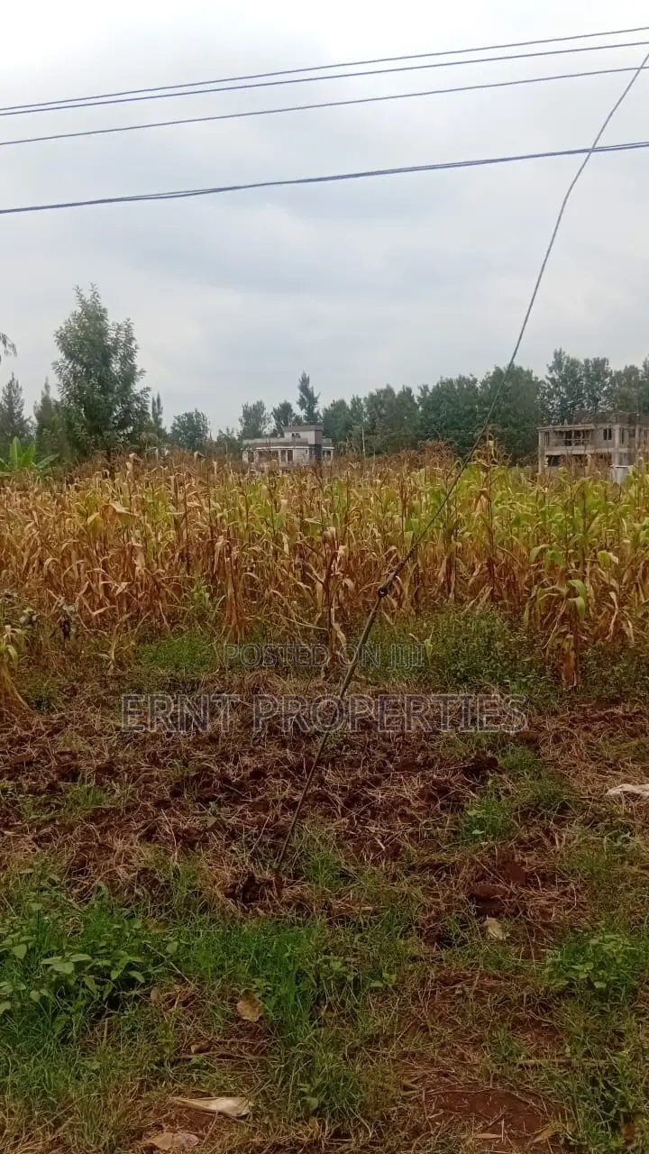 Prime Residential Half Acre for Sale in Kamiti Road in Githurai