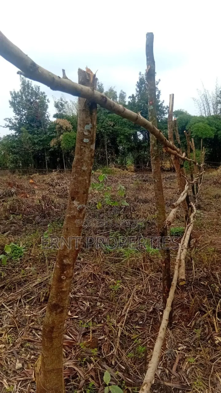 Prime Residential Half Acre for Sale in Kamiti Road in Githurai