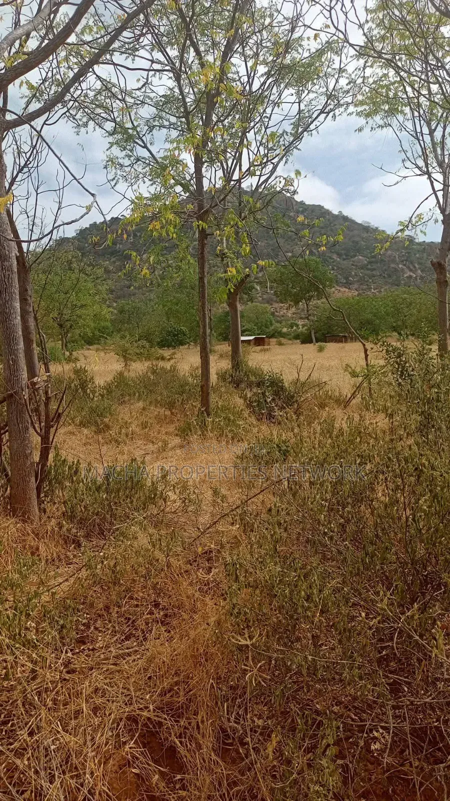 Kitui- Mutomo 50 Acres for Sale in Mutomo