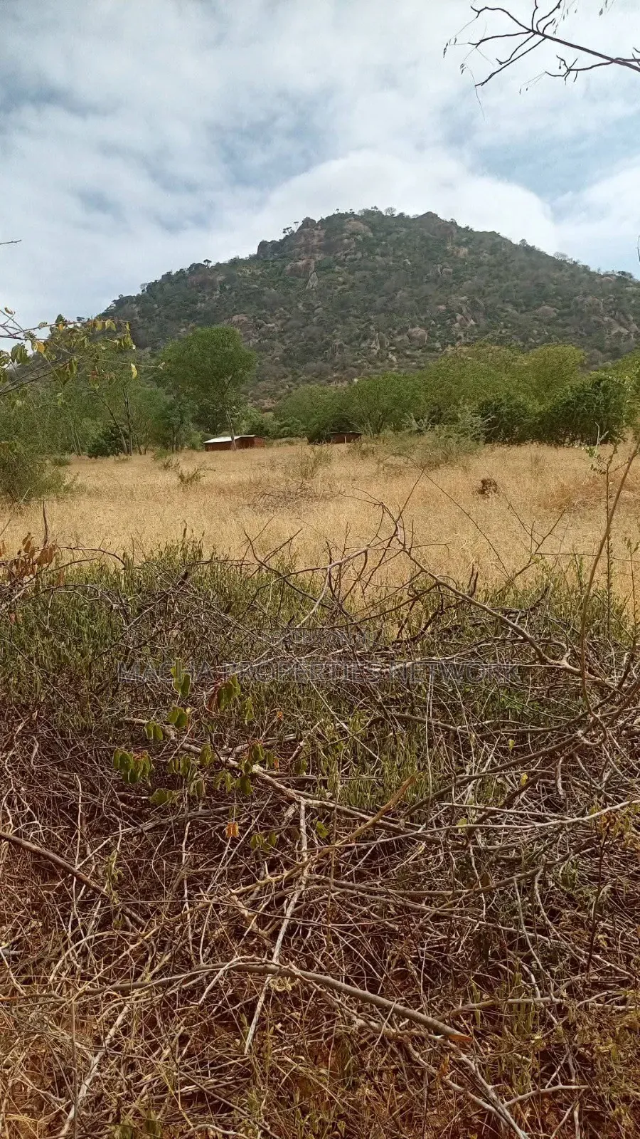 Kitui- Mutomo 50 Acres for Sale in Mutomo