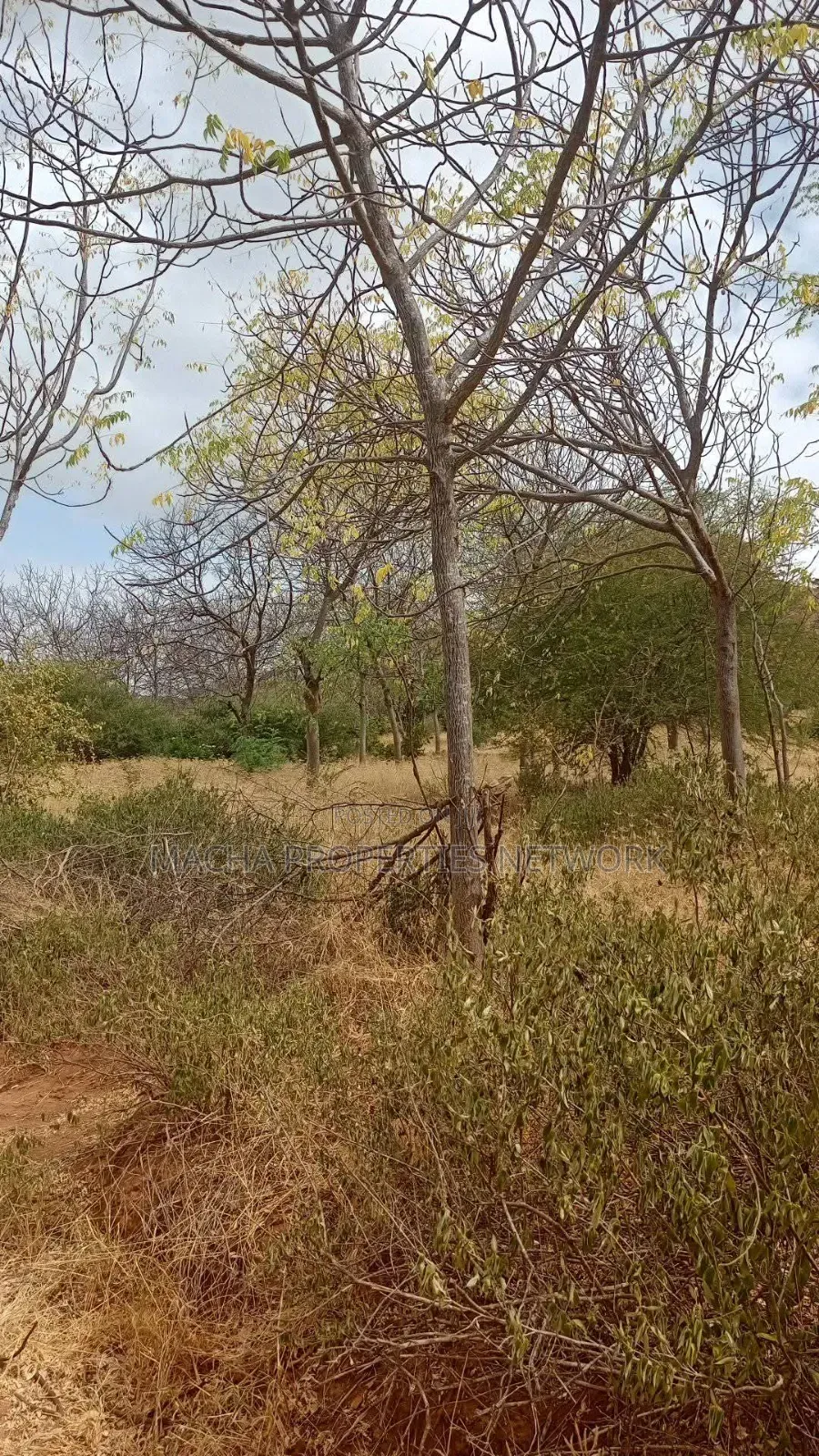 Kitui- Mutomo 50 Acres for Sale in Mutomo
