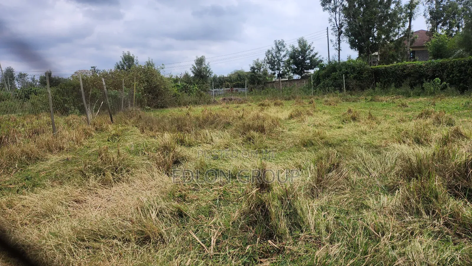 Matasia -Ngong Plots in Matasia