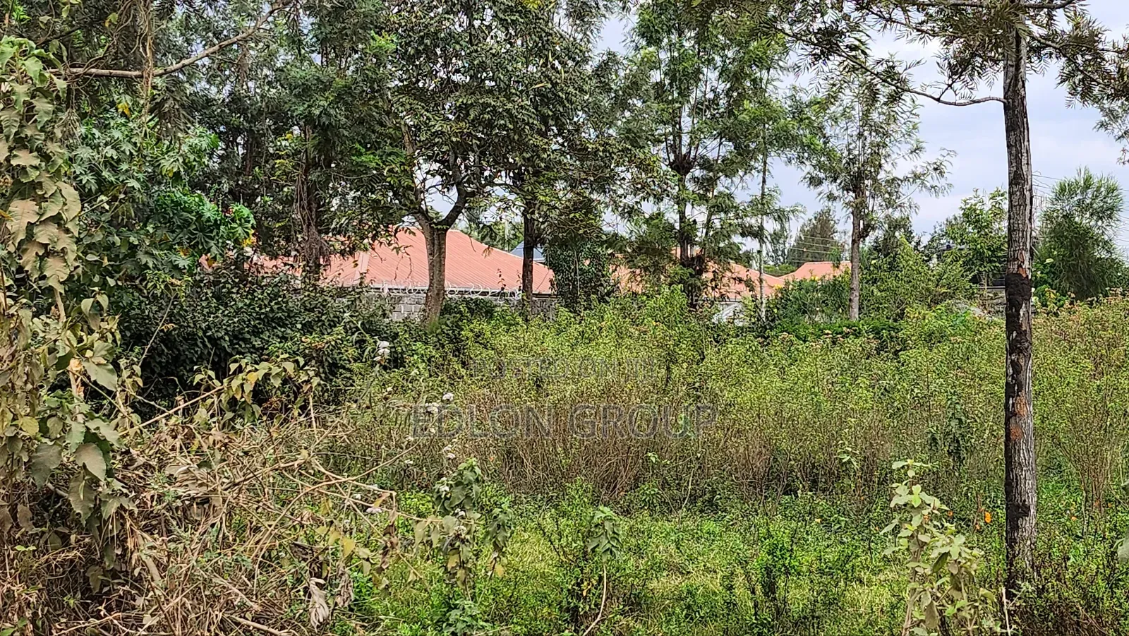 Matasia -Ngong Plots in Matasia