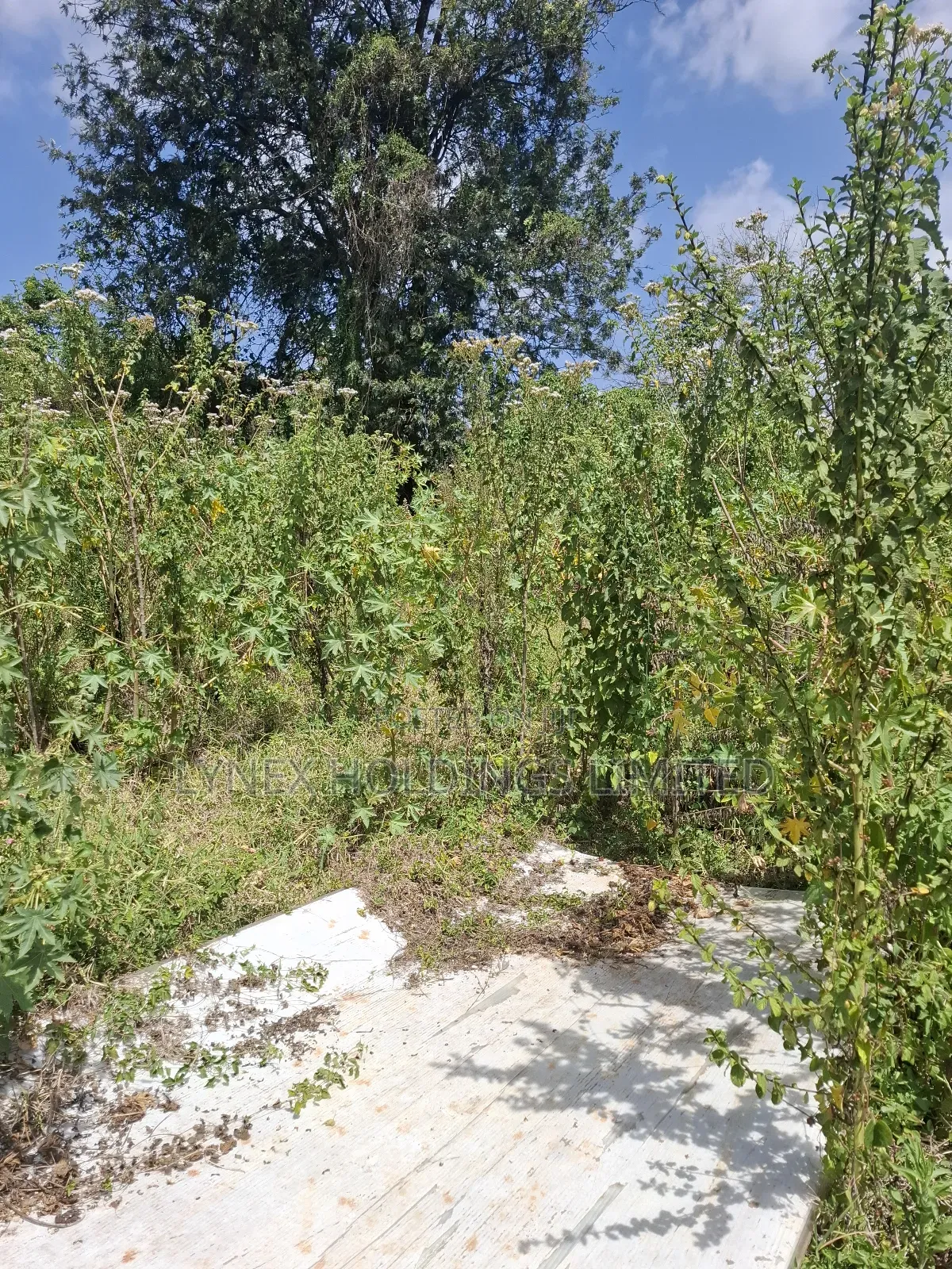 Prime 1/2 Acre Land for Sale in Karen in Karen